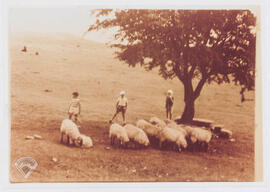 Arrabako landara txangoa 1963.urtean