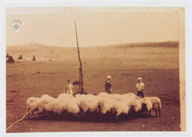 Arrabako landara txangoa 1963.urtean